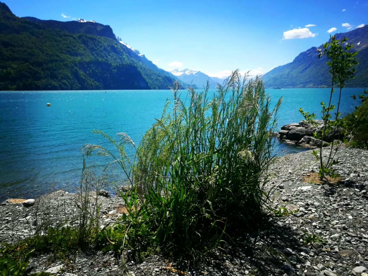 Gemuetliche Fewo Mit Sauna Inmitten Der Berge Meiringen Eksteriør billede