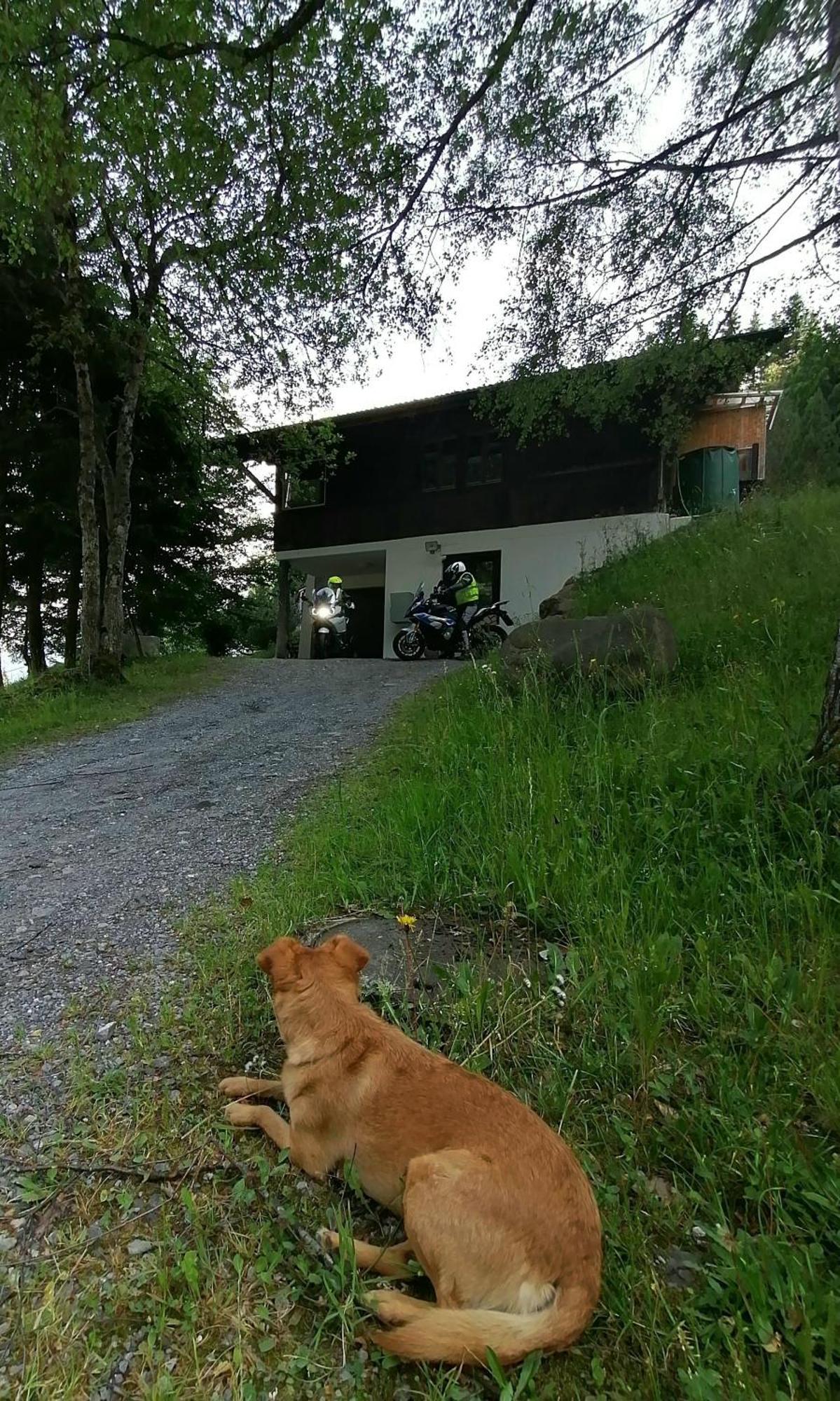 Gemuetliche Fewo Mit Sauna Inmitten Der Berge Meiringen Eksteriør billede